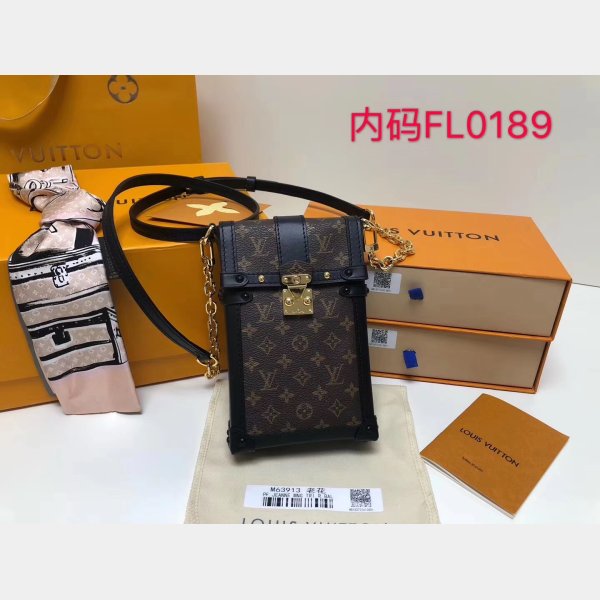 Louis Vuitton AAA+ VERTICAL TRUNK POCHETTE Monogram M63913 Brown